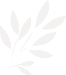 Background top-right