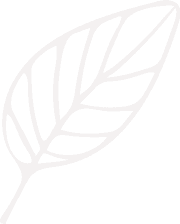 Background bottom-right